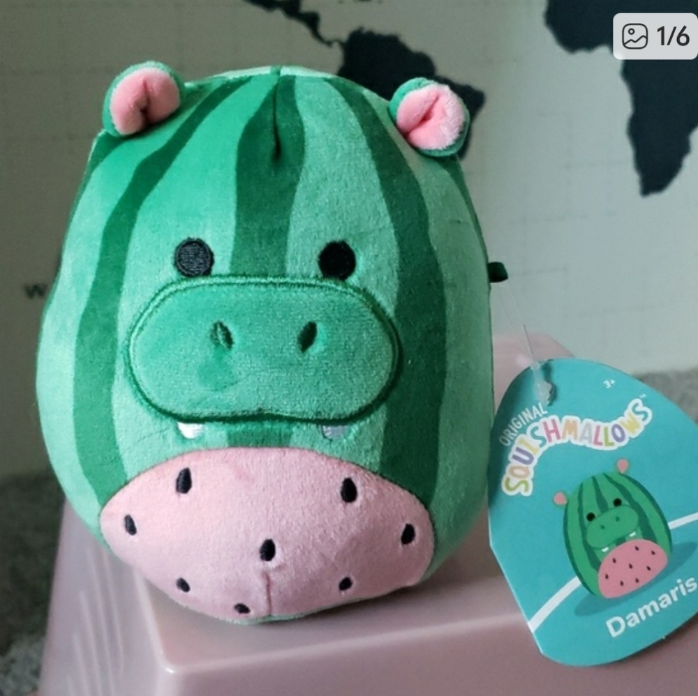 Damaris The Watermelon Hippo 5" Squishmallow Plush NEW WITH TAGS